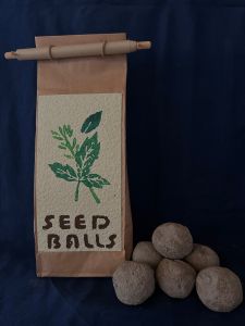 Seed-Balls Küchenkräuter