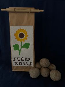 Seed-Balls Sonnenblume